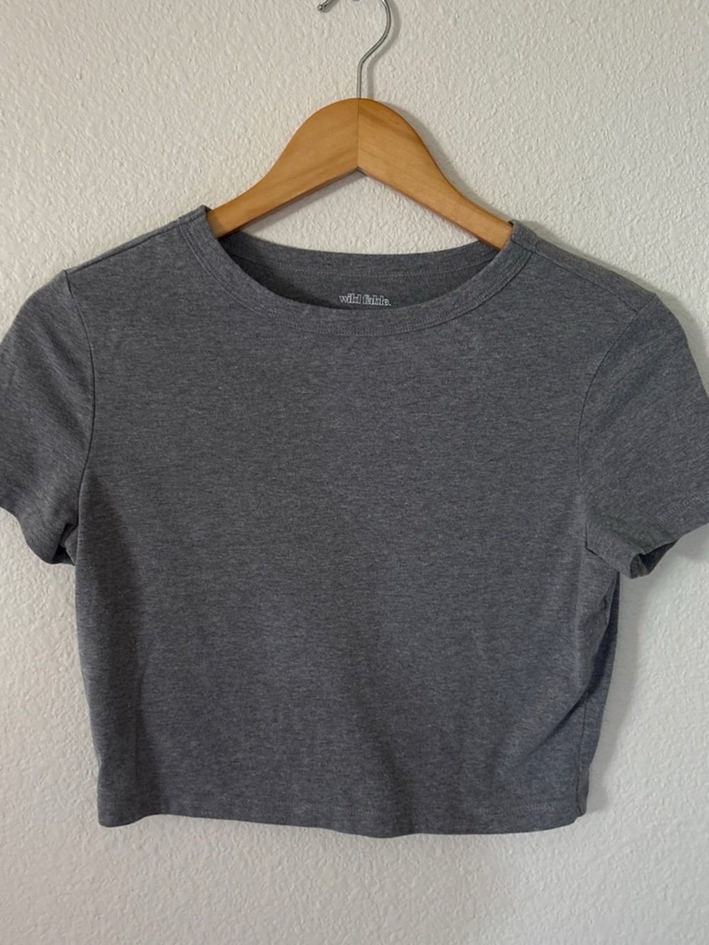 wild fable Gray Cropped Crewneck Tee